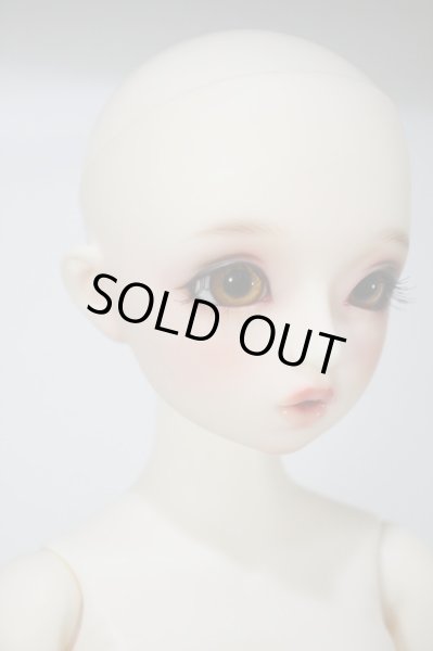 画像2: SDMGIRL/コーディネートモデル F-43 ヘッド Y-24-02-07-001-YB-ZY (2)