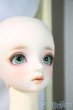 画像4: SD/ニコ　アダプションモデル　ボーイッシュメイク U-25-06-10-220-NY-ZU (4)