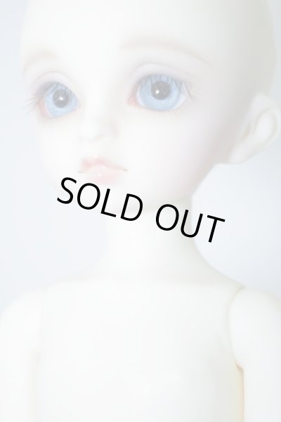 画像4: 幼SD/リトルアリス U-23-12-20-205-TN-ZU (4)