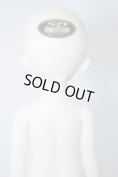 画像6: 幼SD/リトルアリス U-23-12-20-205-TN-ZU (6)