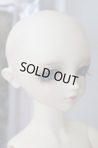 画像2: ＳＤＧＩＲＬ/シャルロッテ U-24-02-21-215-TN-ZU (2)