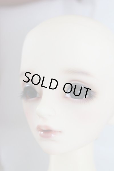 画像6: SD13GIRL/ワンオフF-68ヘッドつきみ様 U-24-04-03-217-TN-ZU (6)