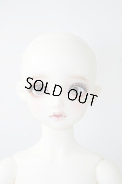 画像2: SDGIRL/リーゼロッテ the Best of the Bests Ver.2019 U-23-12-06-216-KN-ZU (2)