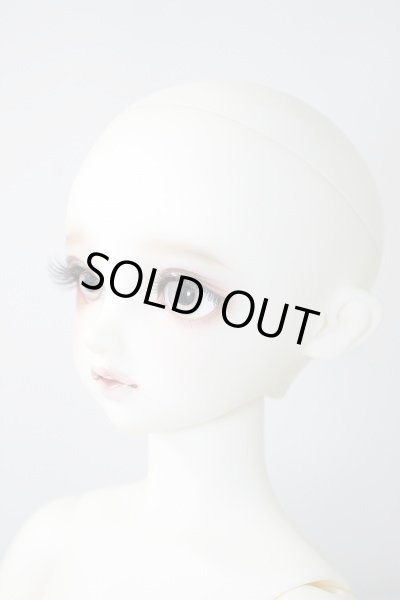 画像3: SDGIRL/リーゼロッテ the Best of the Bests Ver.2019 U-23-12-06-216-KN-ZU (3)