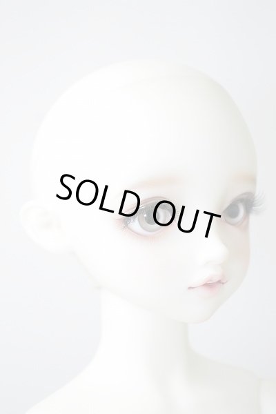 画像4: SDGIRL/リーゼロッテ the Best of the Bests Ver.2019 U-23-12-06-216-KN-ZU (4)