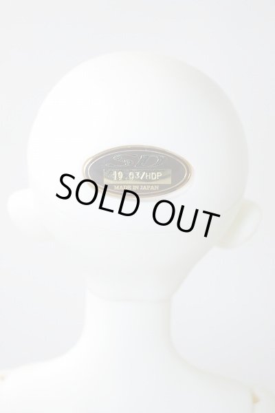 画像5: SDGIRL/リーゼロッテ the Best of the Bests Ver.2019 U-23-12-06-216-KN-ZU (5)