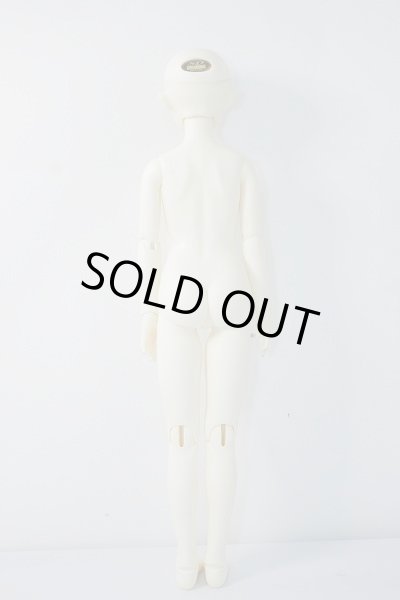 画像8: SDGIRL/リーゼロッテ the Best of the Bests Ver.2019 U-23-12-06-216-KN-ZU (8)