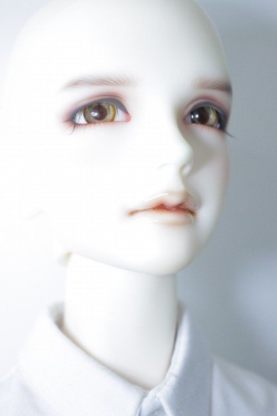 画像4: SDGrB/F-38:フルチョイス推薦メイク U-24-01-03-216-TN-ZU (4)