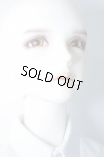 画像4: SDGrB/F-38：フルチョイス推薦メイク U-24-01-03-216-TN-ZU (4)