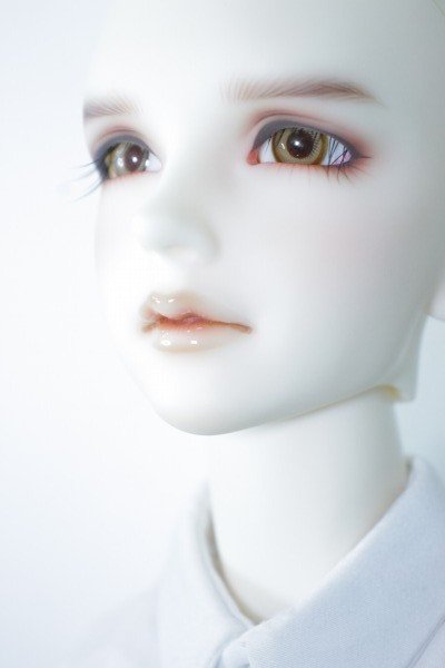 画像5: SDGrB/F-38:フルチョイス推薦メイク U-24-01-03-216-TN-ZU (5)