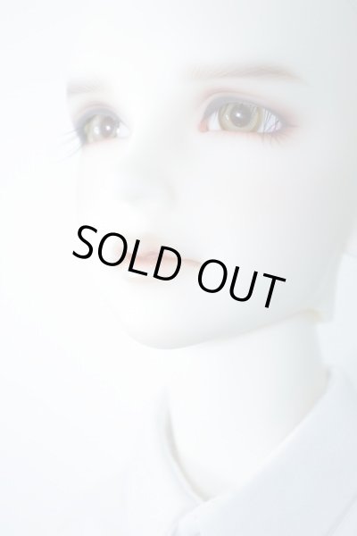 画像5: SDGrB/F-38：フルチョイス推薦メイク U-24-01-03-216-TN-ZU (5)