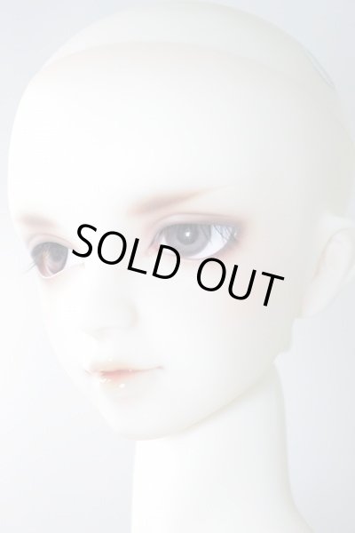 画像4: SDGr男の子/フルチョイスF-40:PSエバービューティー U-24-02-07-214-TN-ZU (4)