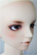 画像3: SDGr男の子/フルチョイスF-40：PSエバービューティー U-24-12-24-218-TN-ZU (3)