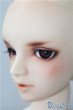 画像4: SDGr男の子/フルチョイスF-40：PSエバービューティー U-24-12-24-218-TN-ZU (4)