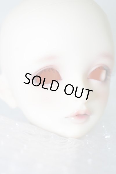 画像2: SDGr/ミチルヘッドのみ U-23-12-20-220-KN-ZU (2)