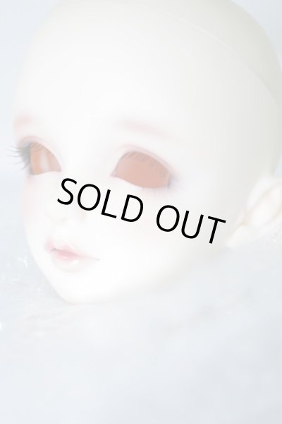 画像3: SDGr/ミチルヘッドのみ U-23-12-20-220-KN-ZU (3)