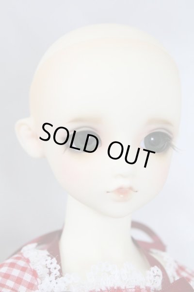 画像4: SDGIRL/リーゼロッテ 1st U-24-04-03-219-KN-ZU (4)