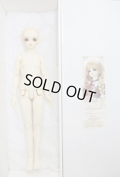 画像9: SDGIRL/リーゼロッテ 1st U-24-04-03-219-KN-ZU (9)