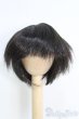 画像1: 7〜8inch/ウィッグ I-25-05-11-3022-TO-ZI (1)