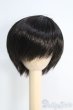 画像1: 6〜7inch/ウィッグ I-25-06-01-3025-TO-ZI (1)