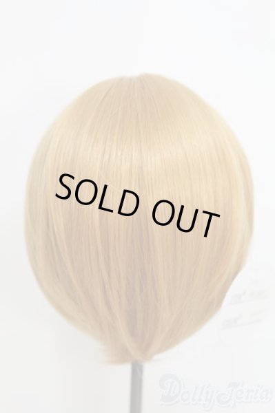 画像2: 7〜8inch/ウィッグ I-25-06-15-2017-TO-ZI (2)