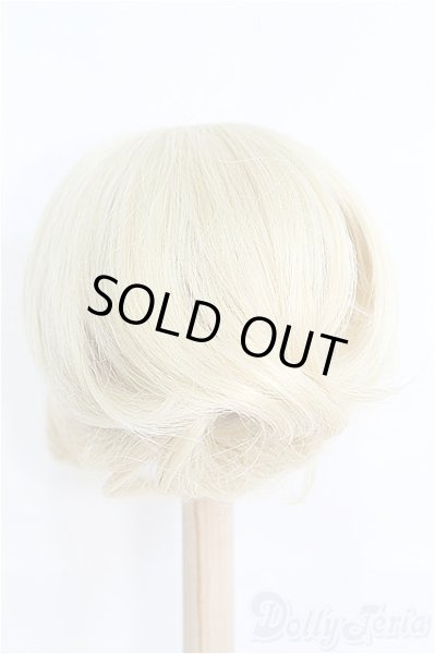 画像3: 9inch/ウィッグ：ROSEN LIED製 I-25-04-06-2024-TO-ZI (3)