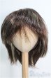 画像1: 9〜10inch/ウィッグ I-25-01-12-2052-TO-ZI (1)