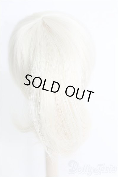 画像2: 8〜9inch/ウィッグ I-25-02-09-2023-GN-ZI (2)