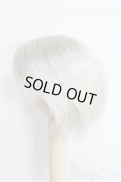 画像2: 8inchウィッグ I-25-01-26-2039-TN-ZI (2)