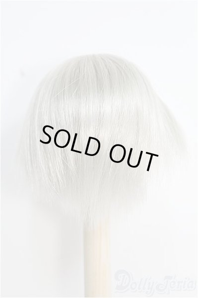 画像3: 8inchウィッグ I-25-01-26-2039-TN-ZI (3)