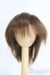 画像1: 8inch/ウィッグ I-25-04-27-2017-TN-ZI (1)
