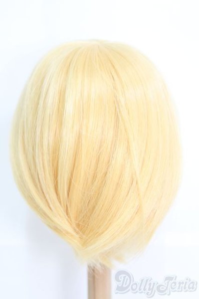 画像2: 9〜10inch/bluekangarooo様製：ウィッグ I-25-06-01-2040-TO-ZI (2)