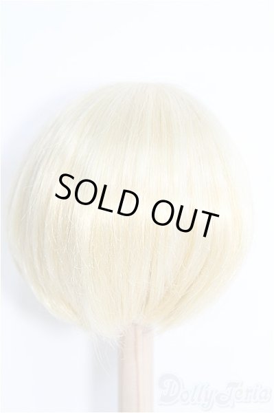 画像2: 8inch/ウィッグ I-25-02-09-3012-TN-ZI (2)