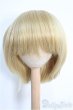 画像1: 9〜10inch/ウィッグ I-25-02-09-3021-TO-ZI (1)