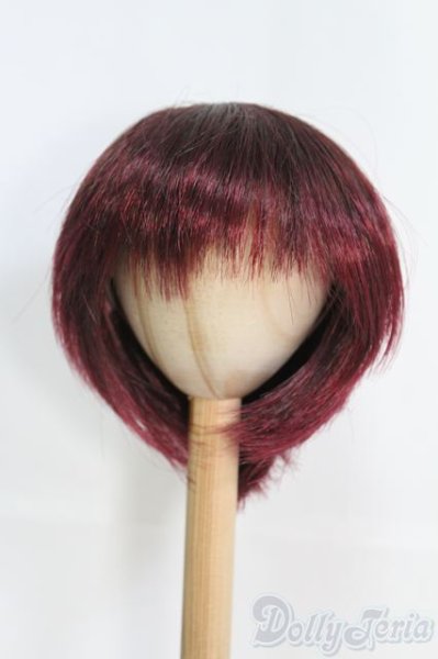 画像1: 9〜10inch/ウィッグ I-25-05-04-2028-TO-ZI (1)