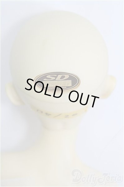 画像5: sd13GIRL/ワンオフモデルf23/BJD　球体関節人形 I-25-08-10-018-TN-ZI (5)