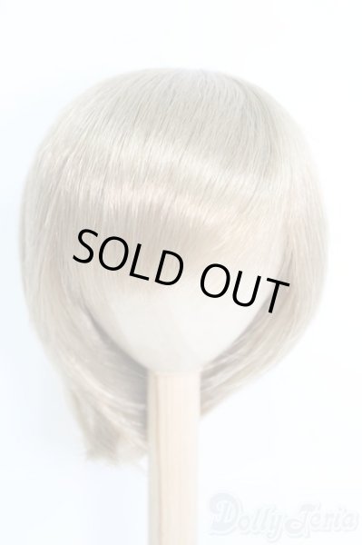 画像1: 9〜10inch/ウィッグ/インチ　BJD　MJD　ドール用 I-25-07-06-2049-TN-ZI (1)