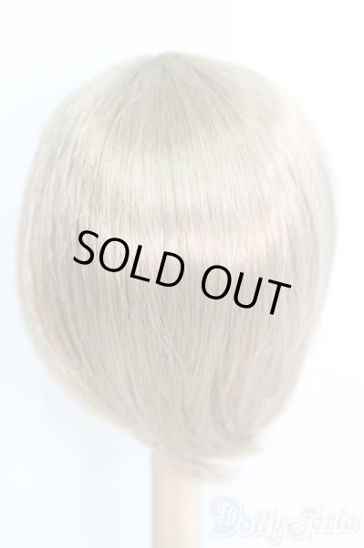 画像2: 9〜10inch/ウィッグ/インチ　BJD　MJD　ドール用 I-25-07-06-2049-TN-ZI (2)