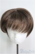 画像1: 7〜8inch/ウィッグ I-25-01-05-2036-TO-ZI (1)