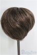 画像2: 7〜8inch/ウィッグ I-25-01-05-2036-TO-ZI (2)