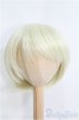 画像1: 9〜10inch/ウィッグ I-25-04-06-2029-TO-ZI (1)