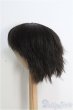 画像2: 【SALE】ウィッグ/9-10inch I-25-01-05-3052-TO-ZI (2)