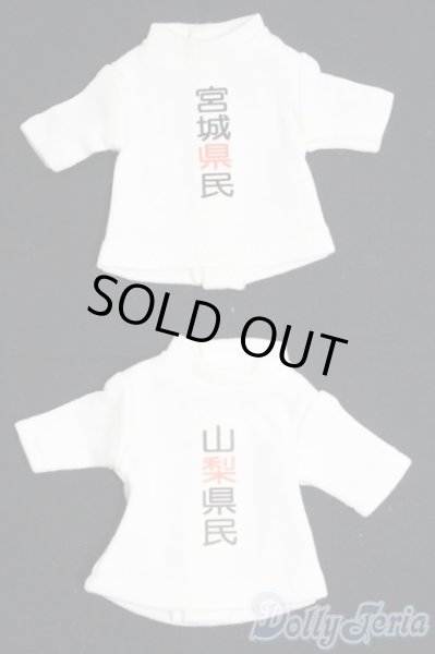 画像1: 幼SD/OF 県民Ｔシャツ2点セット I-25-06-01-3076-TO-ZI (1)