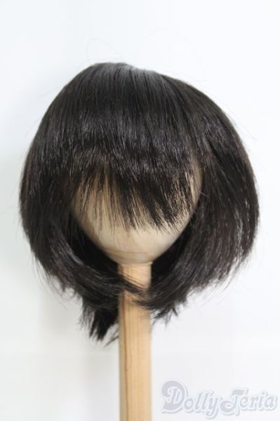 画像1: 9〜10inch/ウィッグ I-25-06-08-3028-TO-ZI (1)