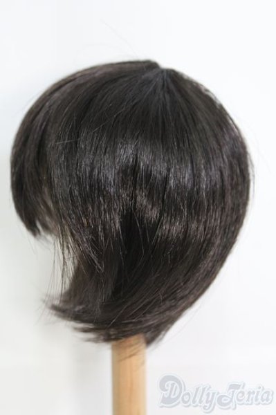 画像2: 9〜10inch/ウィッグ I-25-06-08-3028-TO-ZI (2)