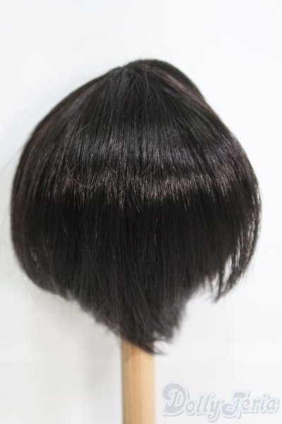画像3: 9〜10inch/ウィッグ I-25-06-08-3028-TO-ZI (3)