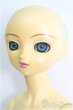 画像3: SDGIRL/のの/BJD　球体関節人形 I-25-08-10-001-TN-ZI (3)