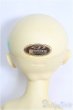 画像5: SDGIRL/のの/BJD　球体関節人形 I-25-08-10-001-TN-ZI (5)