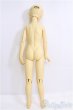 画像7: SDGIRL/のの/BJD　球体関節人形 I-25-08-10-001-TN-ZI (7)