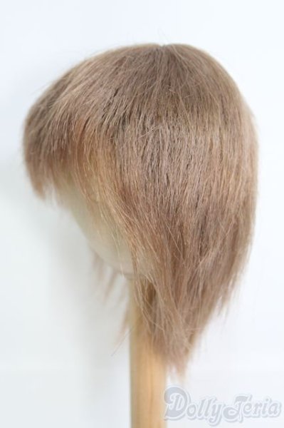 画像2: 9〜10inch/ウィッグ I-25-06-08-3030-TO-ZI (2)